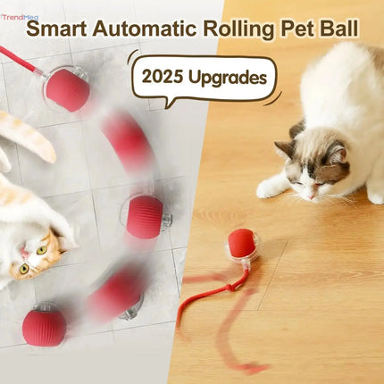 Smart Cat Interactive Rolling Ball Toy with Tail – Rechargeable Automatic Mouse-Inspired Pet Play Toy trendmeg