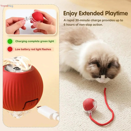 Smart Cat Interactive Rolling Ball Toy with Tail – Rechargeable Automatic Mouse-Inspired Pet Play Toy trendmeg