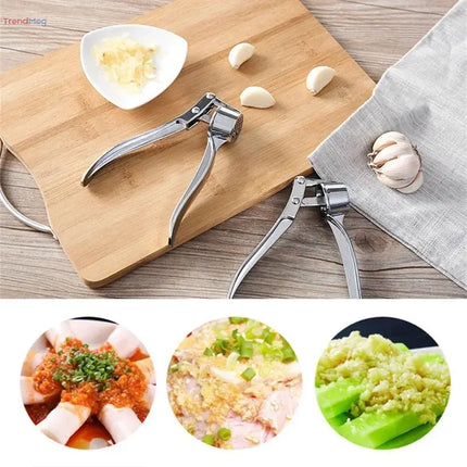 Stainless Steel Handheld Garlic Press – Crusher, Mincer, and Grinder Kitchen Tool trendmeg