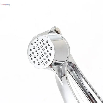 Stainless Steel Handheld Garlic Press – Crusher, Mincer, and Grinder Kitchen Tool trendmeg